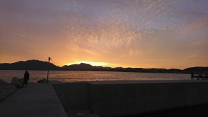 IMG_0712