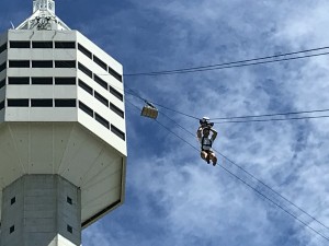 IMG_2216