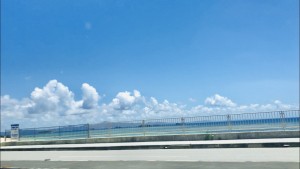 IMG_8444